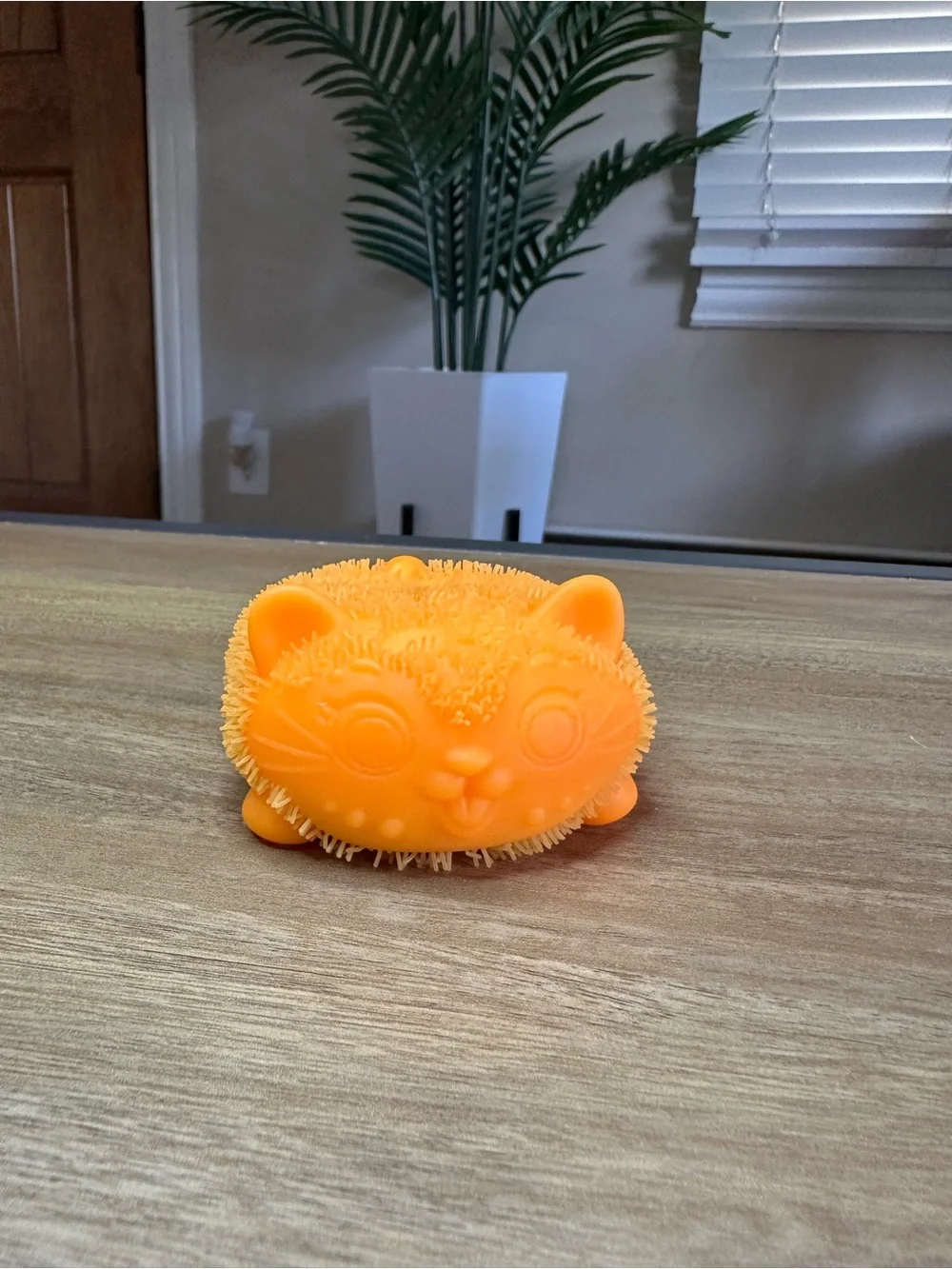 Needoh Wildcat